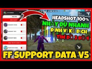 Các hình thức hack của FF Support Data