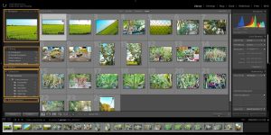 quản lý ảnh trong adobe lightroom cc