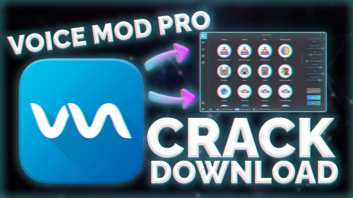 download voicemod full crack