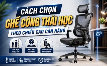 cách chọn ghế công thái học theo chiều cao cân nặng